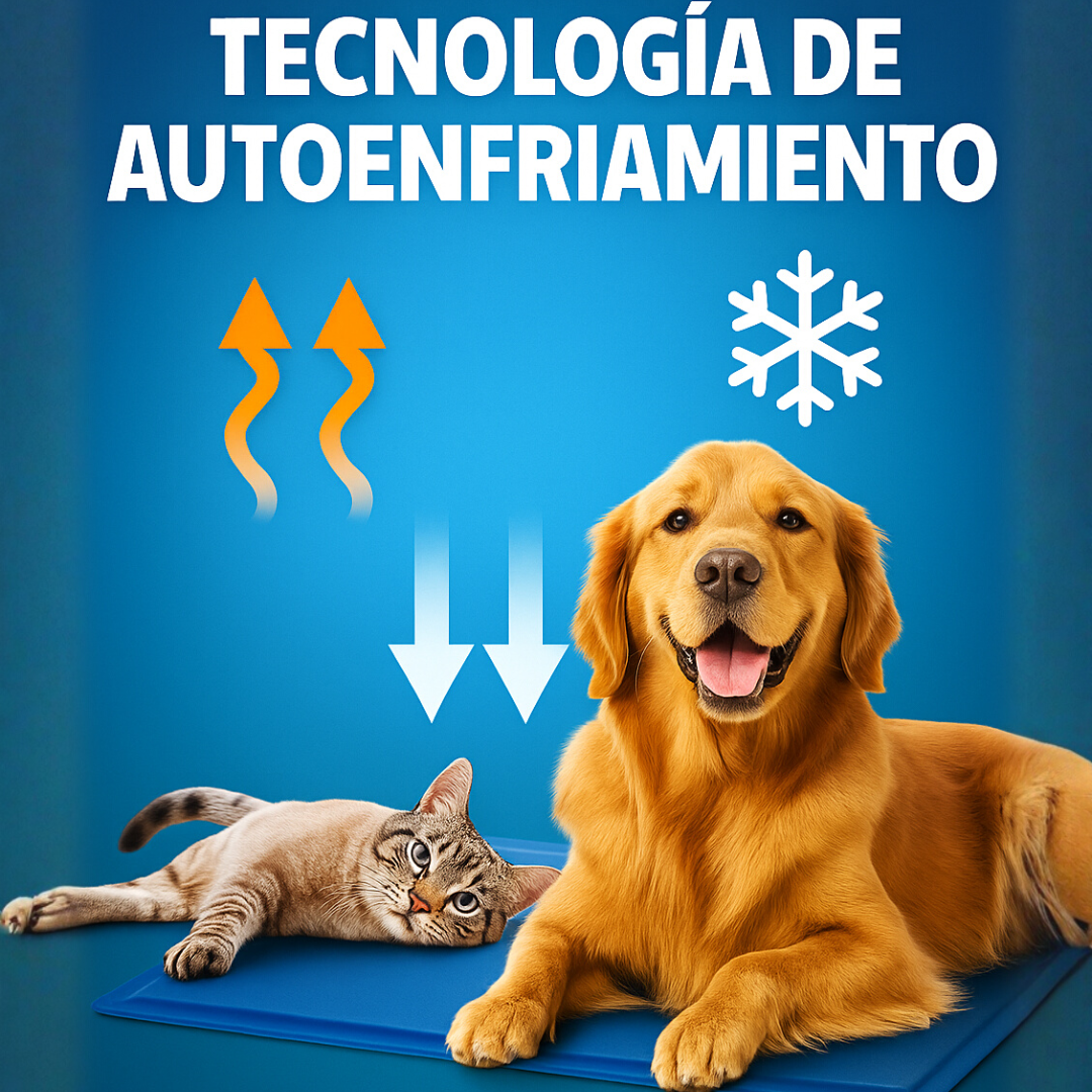 Encabezado